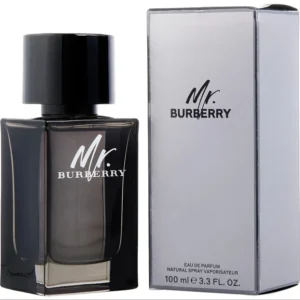 Mr Burberry for men Eau De Parfum Spray 100ml